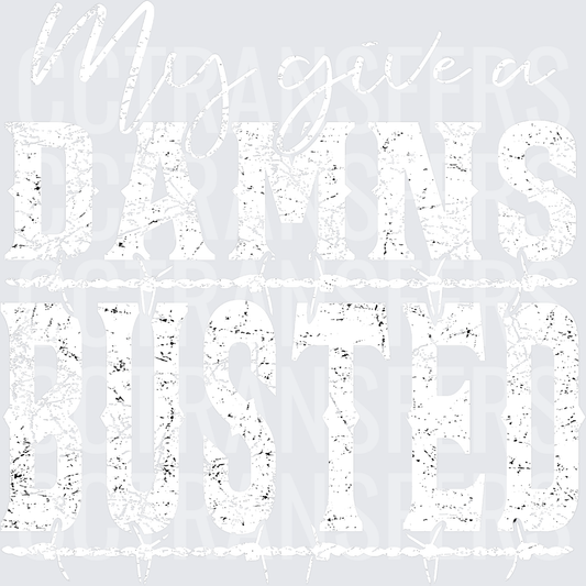 Can't Give A Fathers Duster Distressed Grunge Text (DTF)