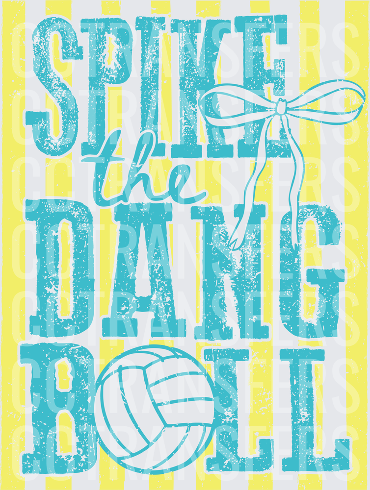 Spike The Dang Ball Volleyball Bow Striped Design (DTF)