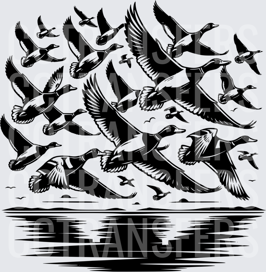 Black and White Flock of Ducks Taking Flight Over Water (DTF)