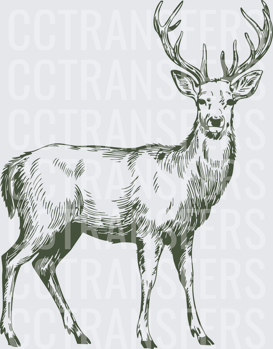 Vintage Sketch Buck Whitetail Deer with Antlers (DTF)