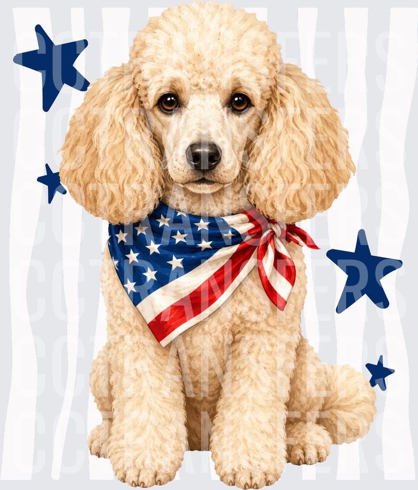 Patriotic Cream Poodle Puppy American Flag Bandana Stars (DTF)