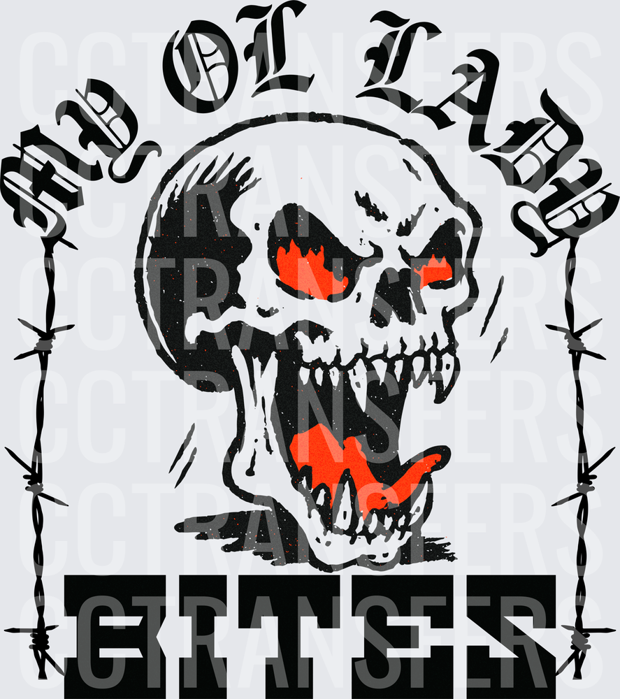 My Ol Lady Bites Flaming Skull Barbed Wire (DTF)