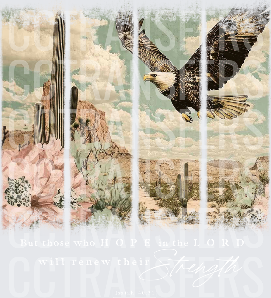 Vintage Desert Bald Eagle Soaring Over Southwest Landscape (DTF)