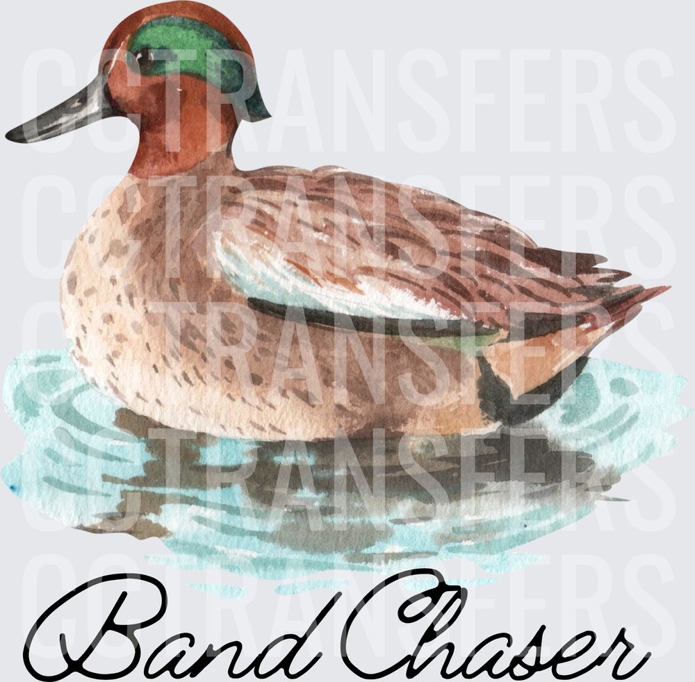 Watercolor Green-Winged Teal Duck Band Chaser (DTF)