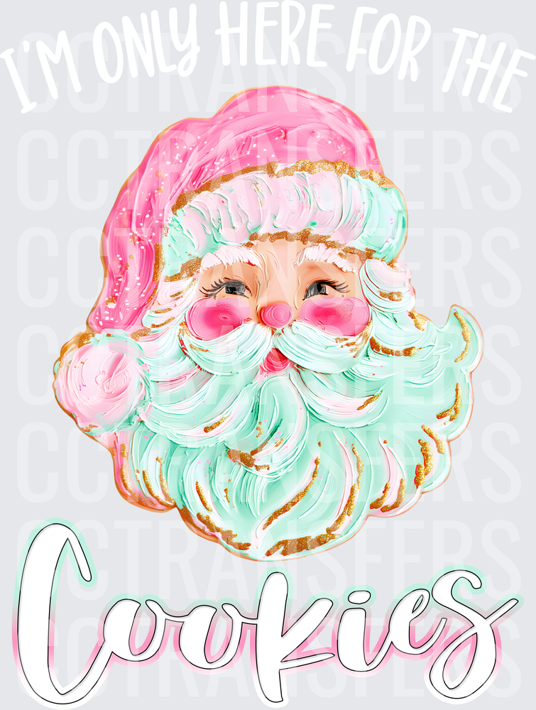 Pastel Santa Face Frosted Cookie Cookies Script (DTF)