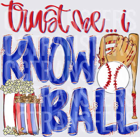 Trust Me I Know Ball Baseball Glove Bat Popcorn (DTF)