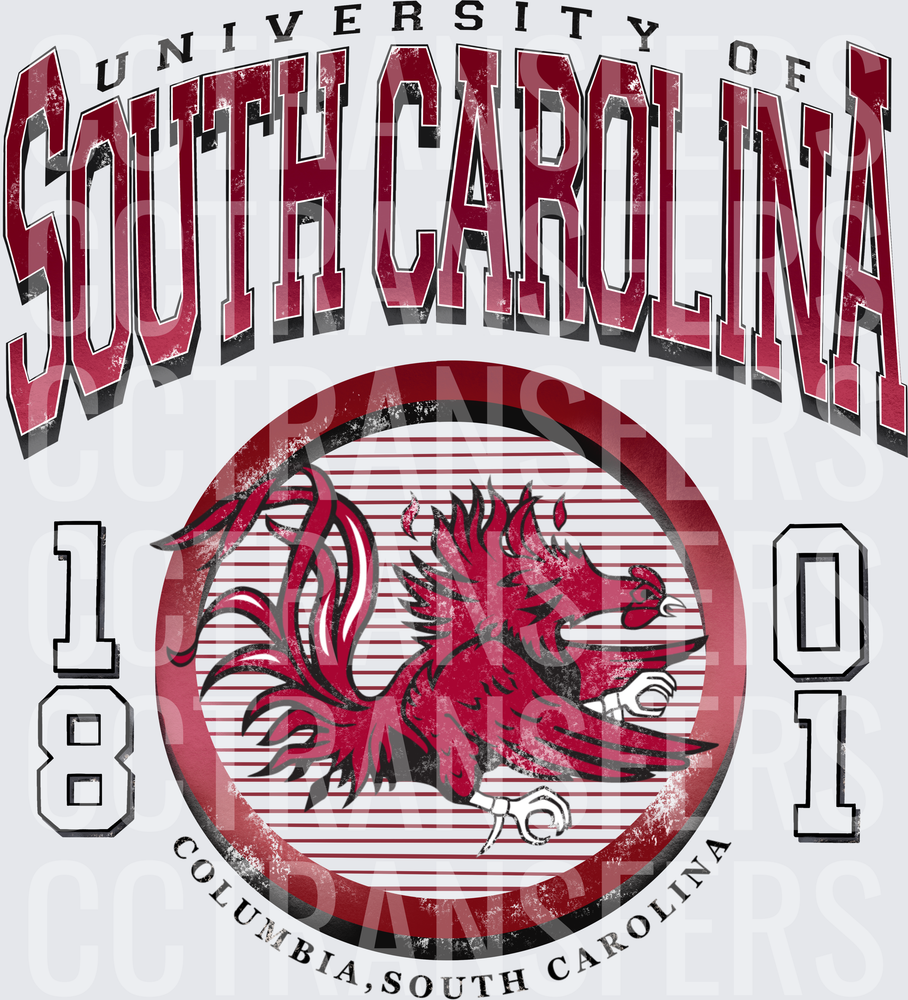 University of South Carolina 1801 Columbia Gamecock Circle (DTF)