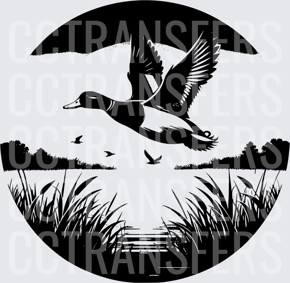Flying Mallard Duck Over Marsh Wetlands Circle (DTF)
