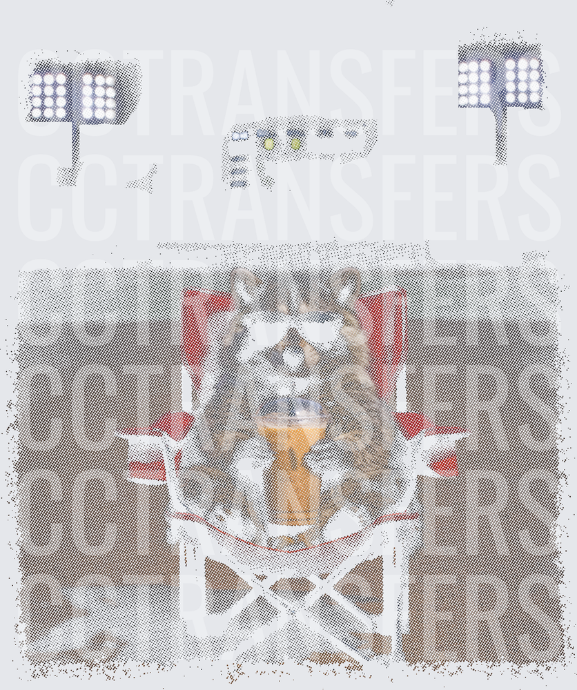 Raccoon Sitting in Folding Chair with Beer at Stadium (DTF)