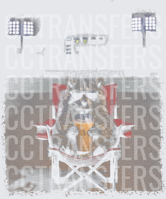 Raccoon Sitting in Folding Chair with Beer at Stadium (DTF)