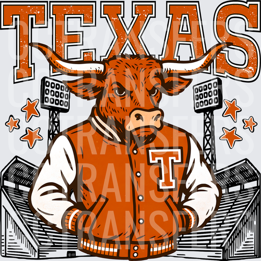 Texas Longhorn Bull Varsity Jacket Stadium Stars (DTF)