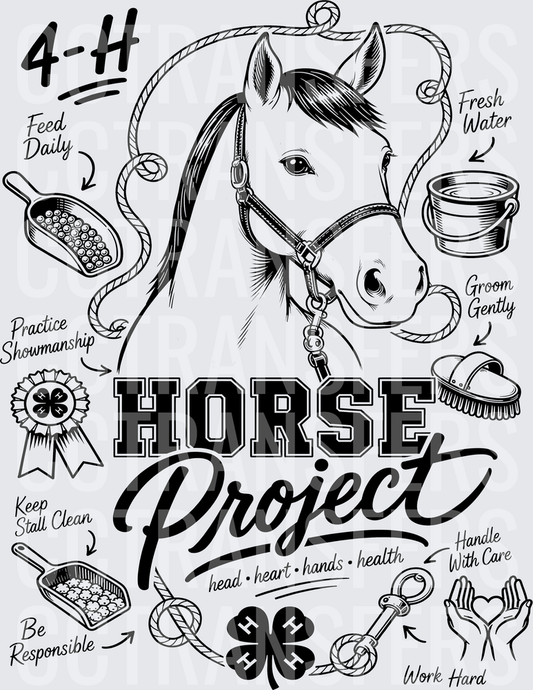 4-H Horse Project Head Heart Hands Health (DTF)