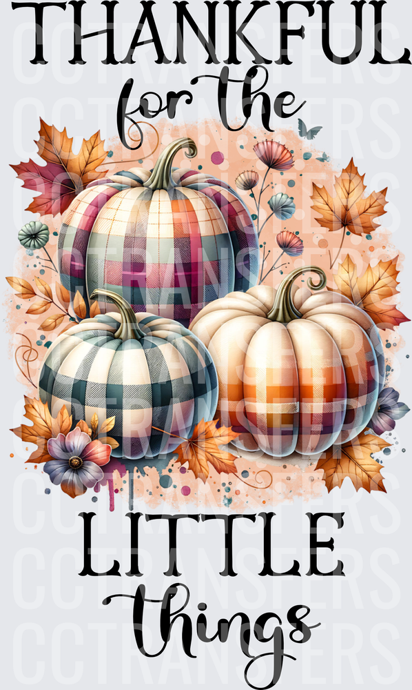 Thankful for the Little Things Plaid Pumpkins Fall (DTF)