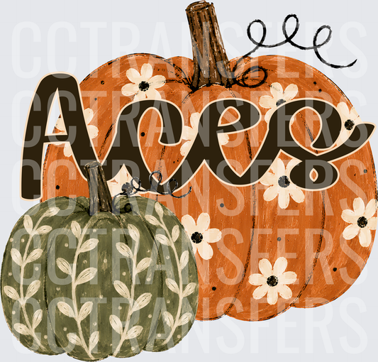 Acee Fall Floral Pumpkin Duo (DTF)