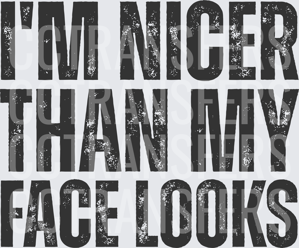 I'm Nicer Than My Face Looks Distressed Bold Text (DTF)