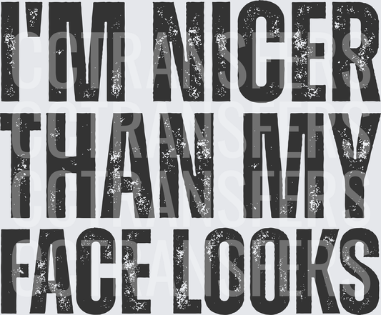 I'm Nicer Than My Face Looks Distressed Bold Text (DTF)