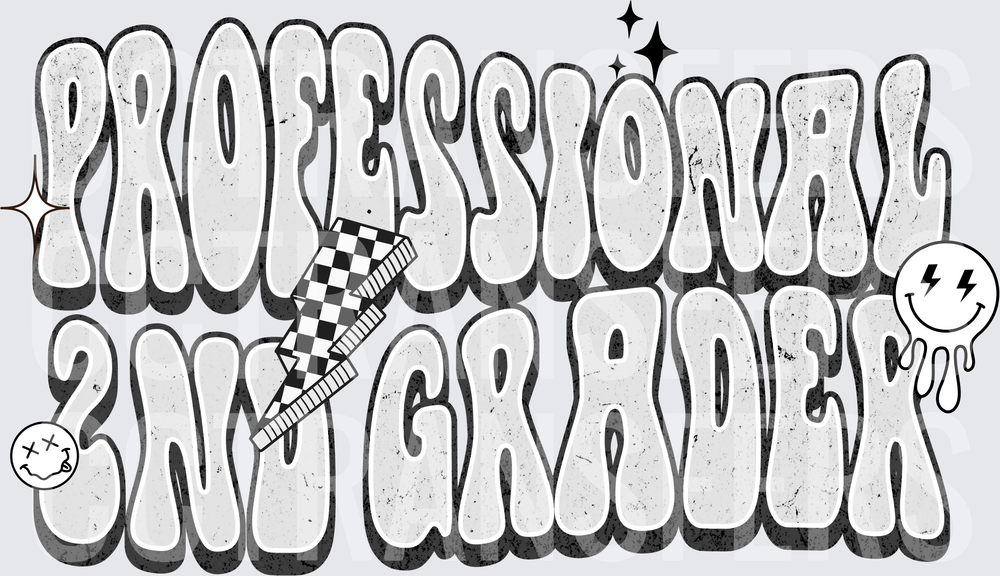 Professional 2nd Grader Retro Groovy Bold Text (DTF)