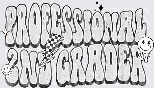 Professional 2nd Grader Retro Groovy Bold Text (DTF)