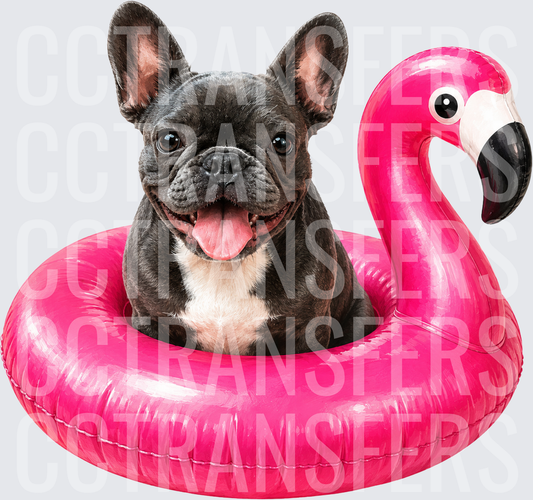 Happy French Bulldog in Pink Flamingo Pool Float (DTF)