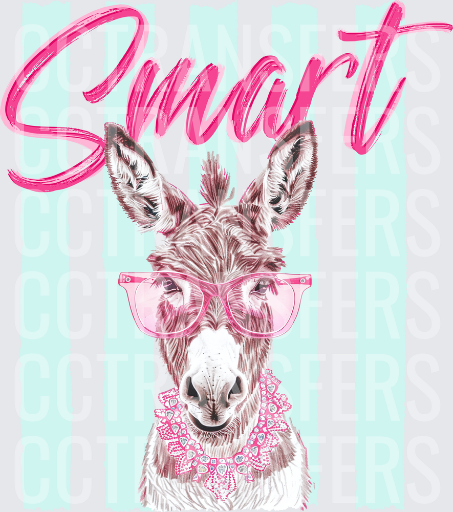 Smart Donkey with Pink Glasses and Lace Collar (DTF)