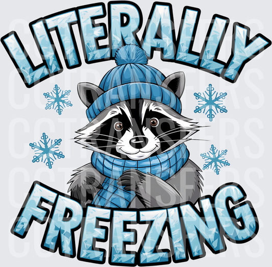 Literally Freezing Raccoon in Winter Hat and Scarf (DTF)