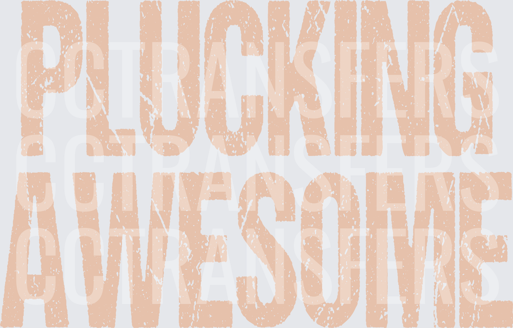 Plucking Awesome Distressed Bold Text (DTF)