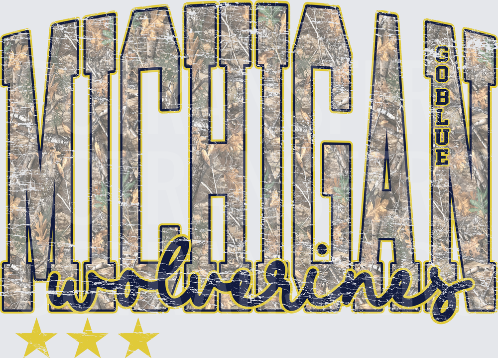 Michigan Wolverines Go Blue Camo Distressed Stars (DTF)