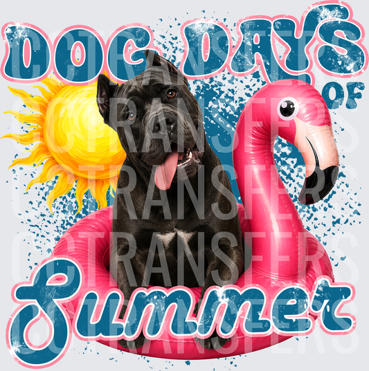 Dog Days of Summer Black Dog Flamingo Float Sun (DTF)