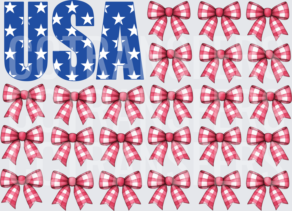 USA Stars Letters with Red Gingham Bow Bundle (DTF)